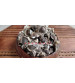 Agromate Moringa Drumstick Tree Seeds 50 grams